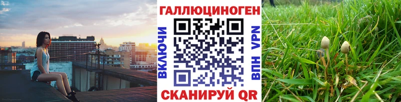 Псилоцибиновые грибы прущие грибы Пыталово
